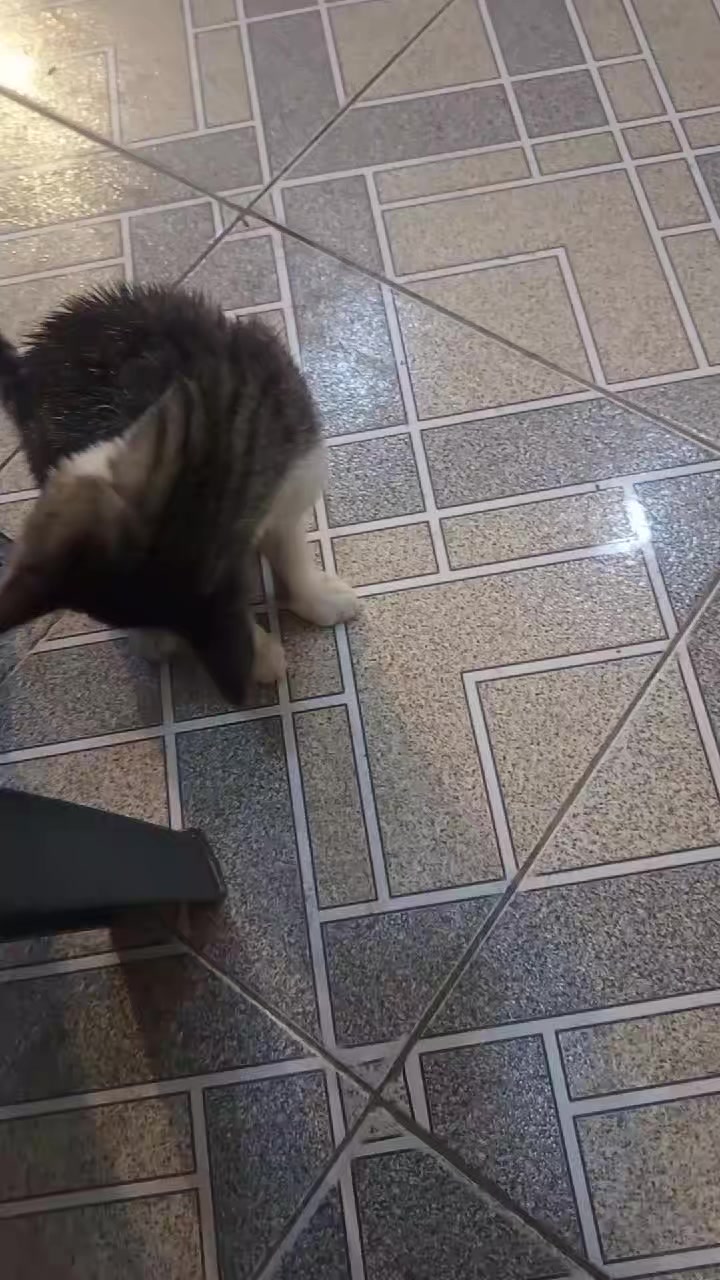 @Gadirova97 🐾