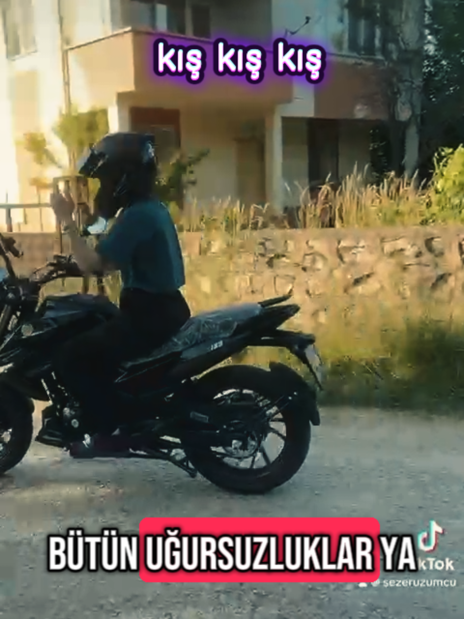 @kedi