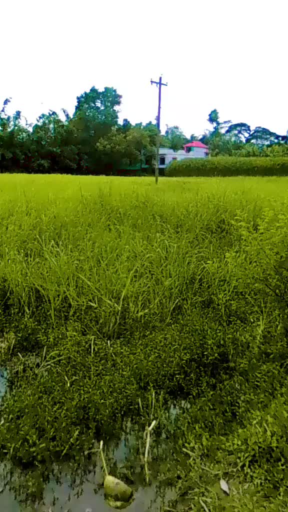 @🤭MD Sharif🥰