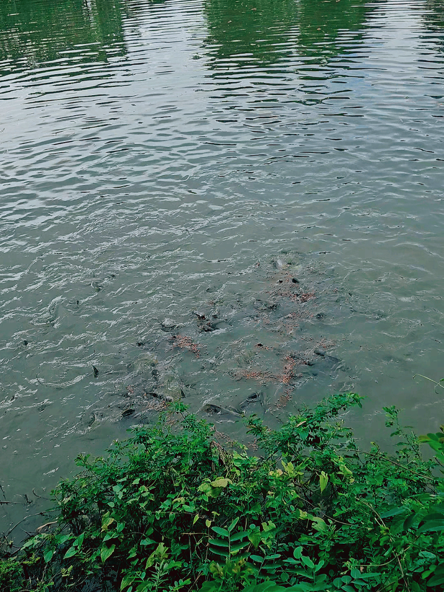 @[💢শ্যাম&copy;সুন্দর💢]
