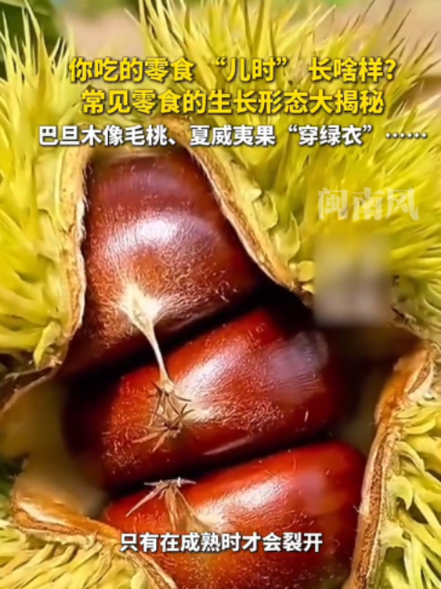 @闽南风~