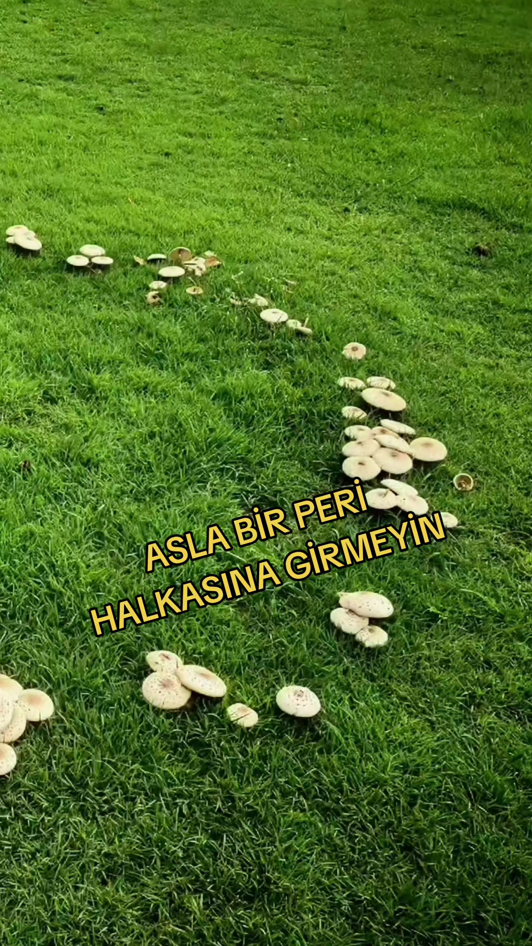@NUR OZKURT