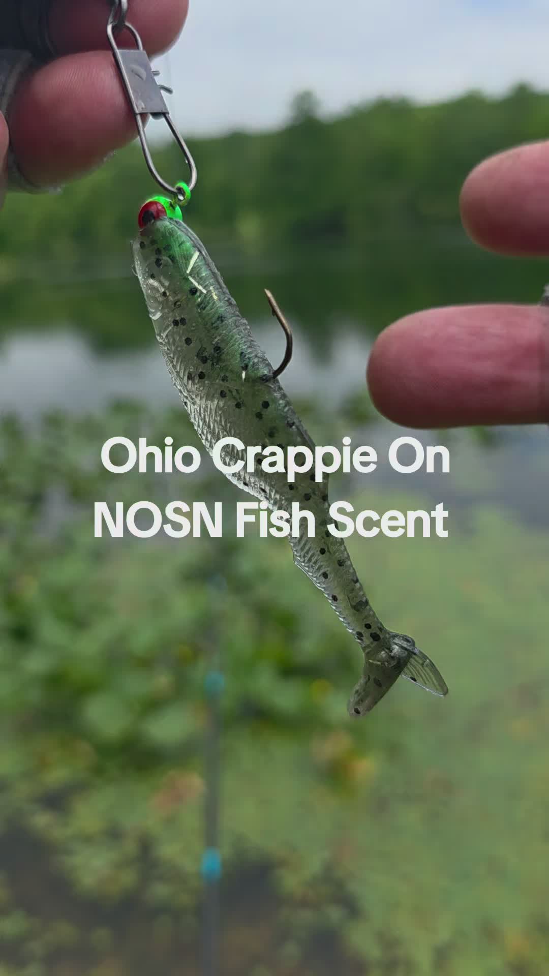 @3dprintedlures FWC