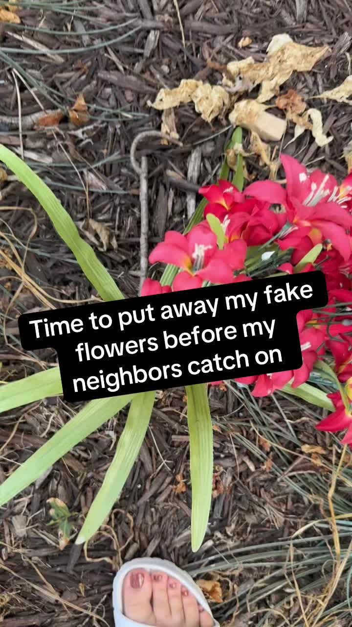 @Sabrina LeAnn