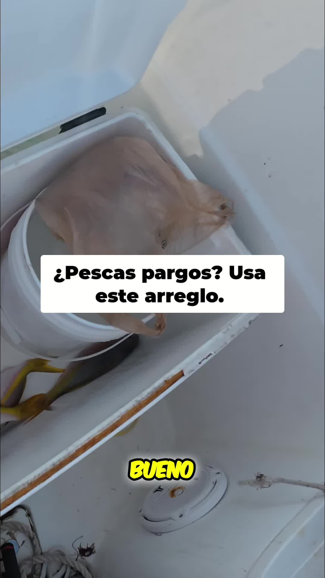 @Raul-Raul