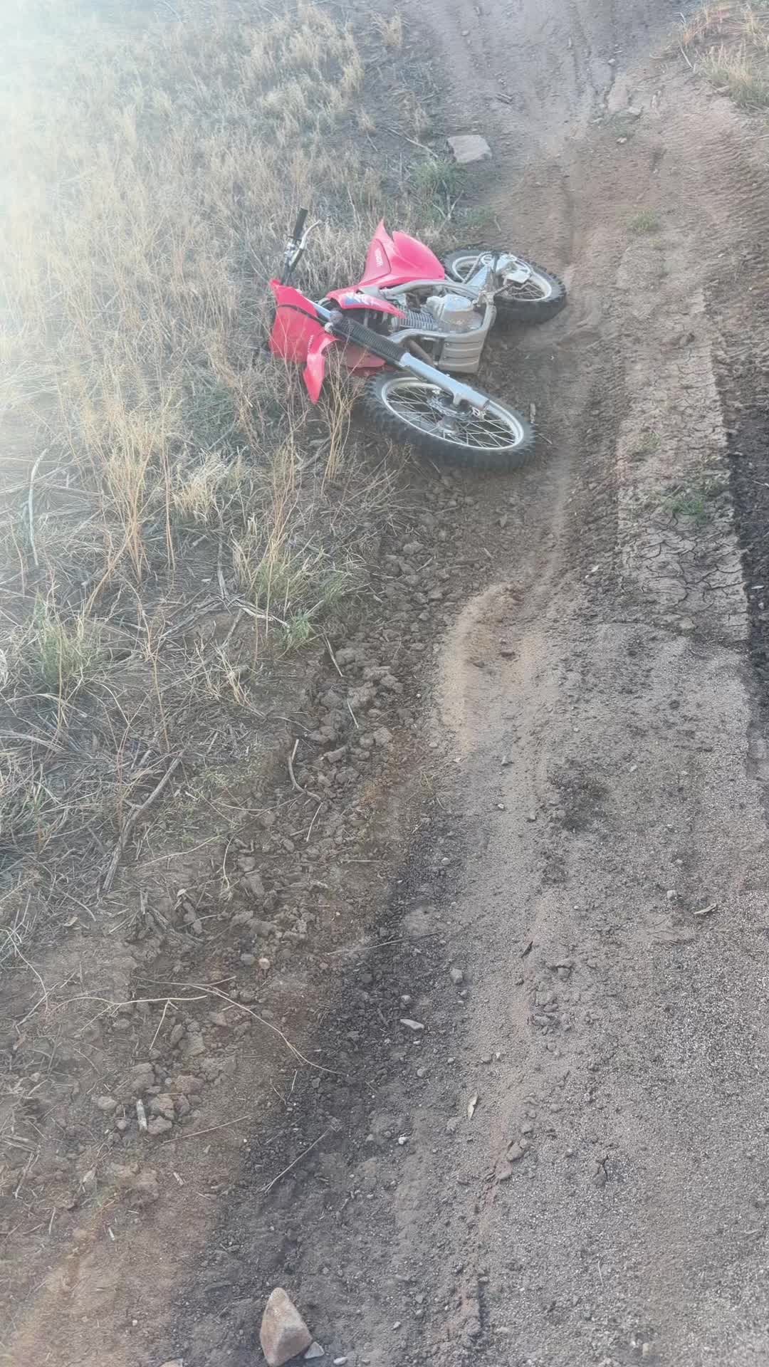 @Honda_rippa