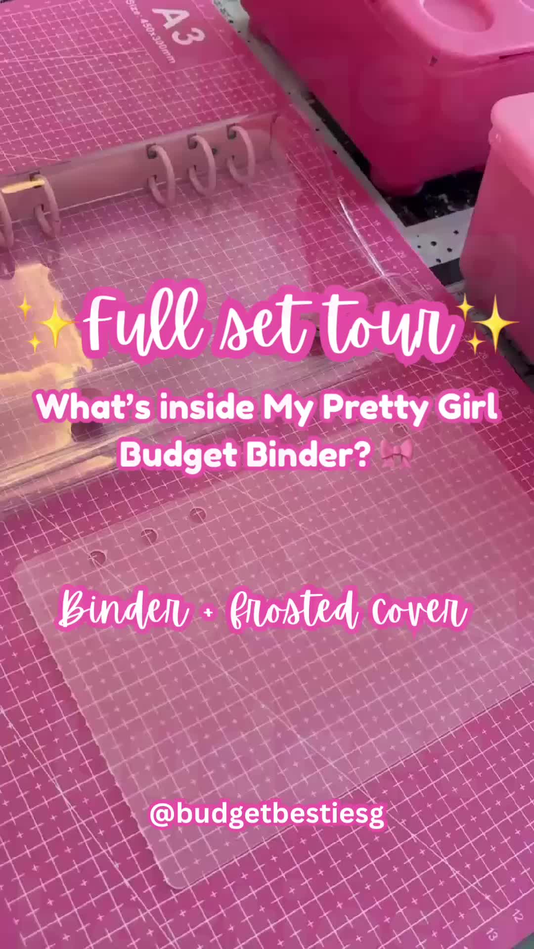 @Budget Bestie SG🌸