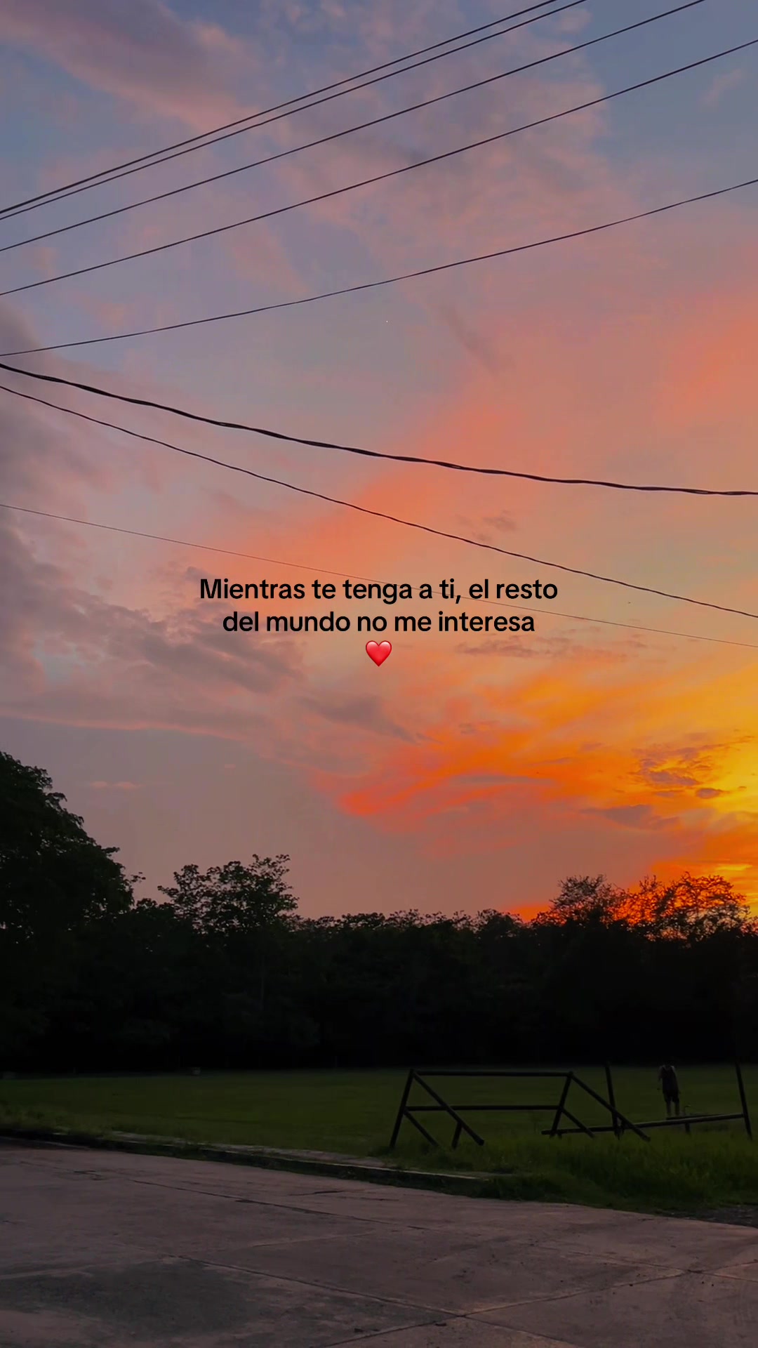 @Gaviota