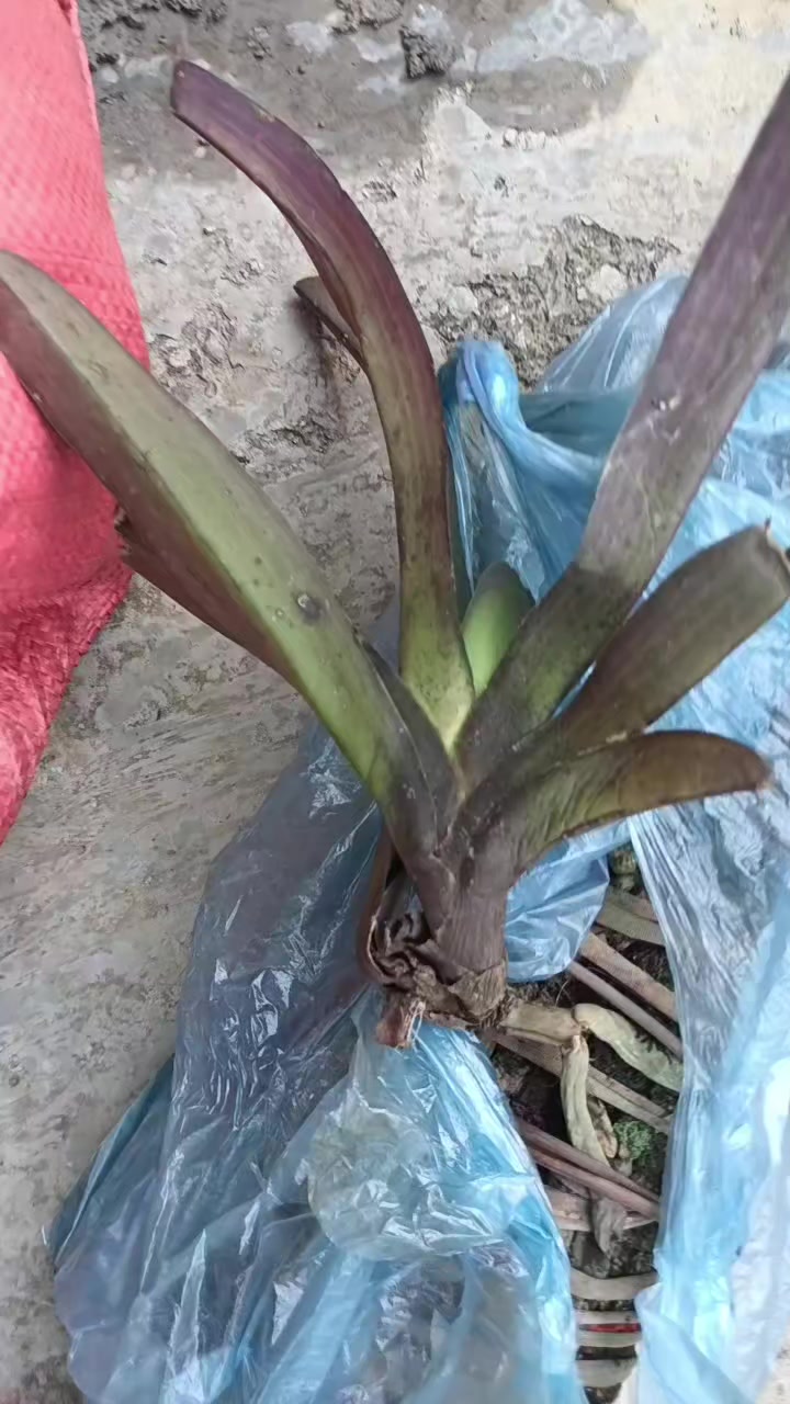 @Nguyễn Thị Hải Yến