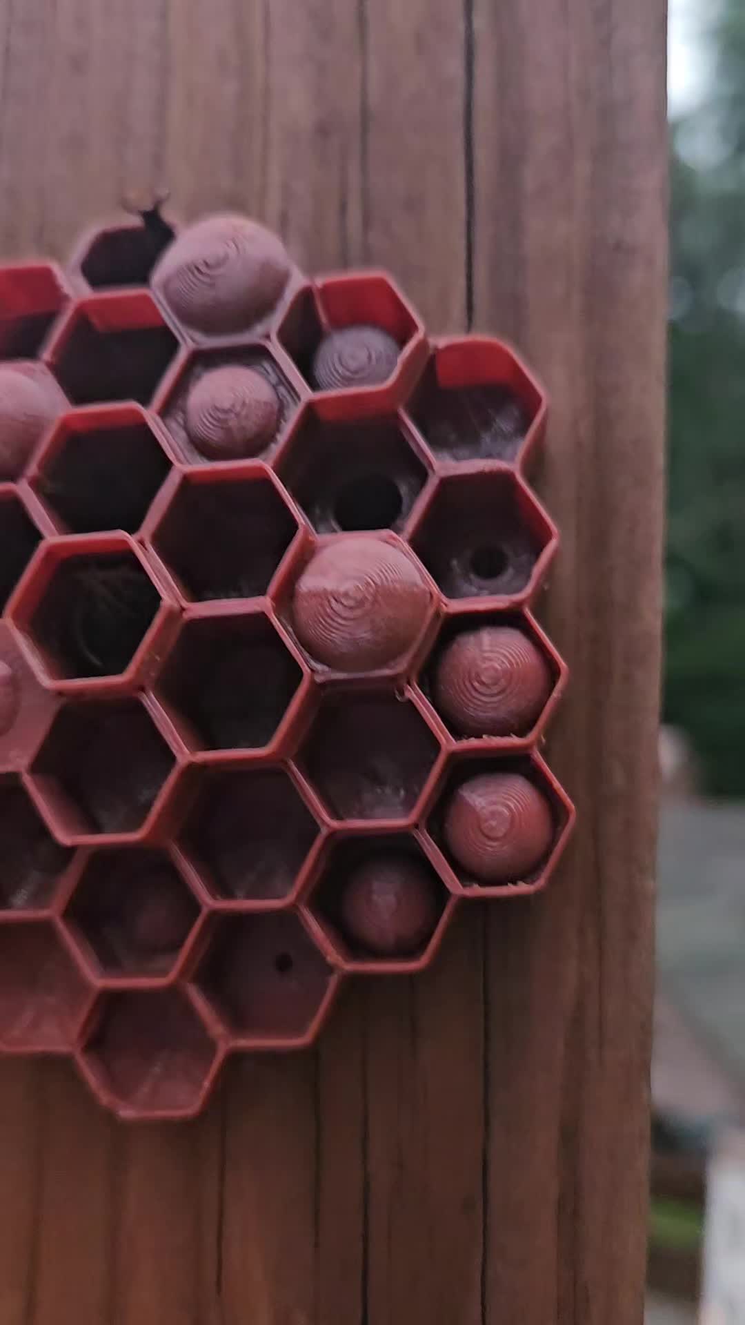 @TigerDog3D