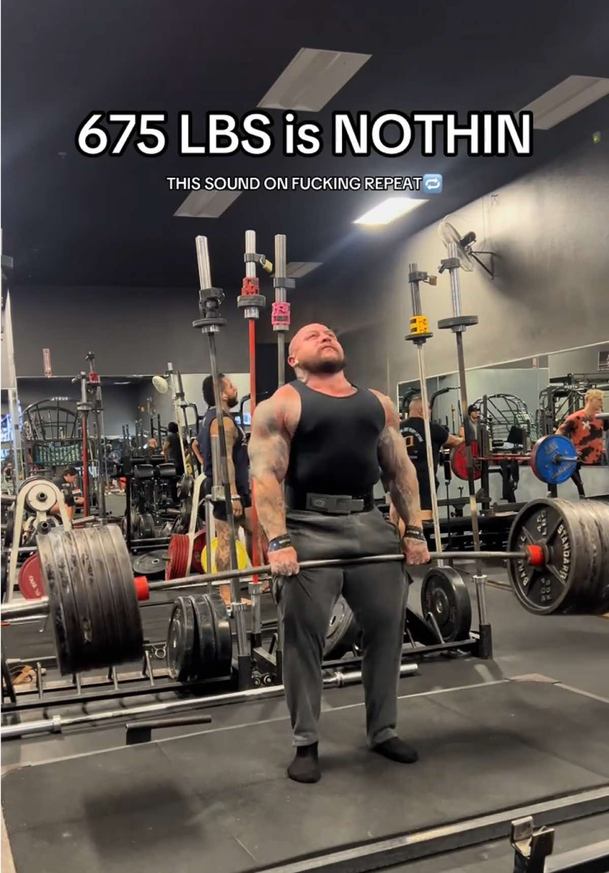 @GORILLA QUINN 🦍🇺🇸