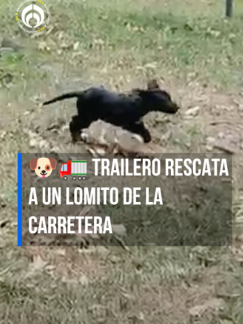 @Radio Fórmula