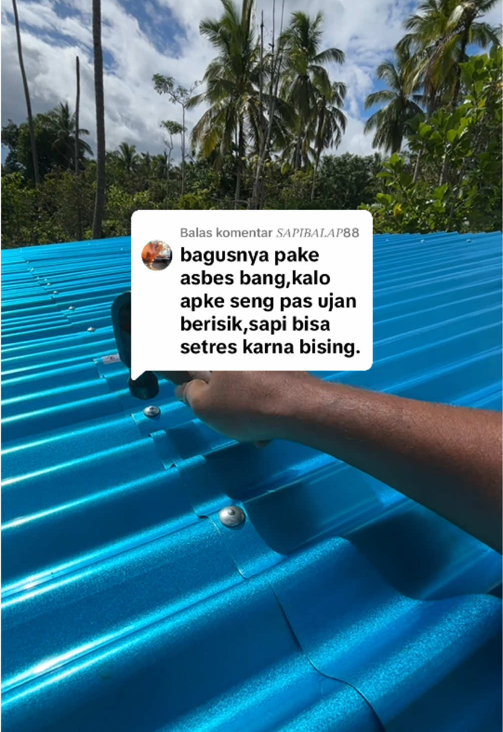 @Ka Bong 🌴