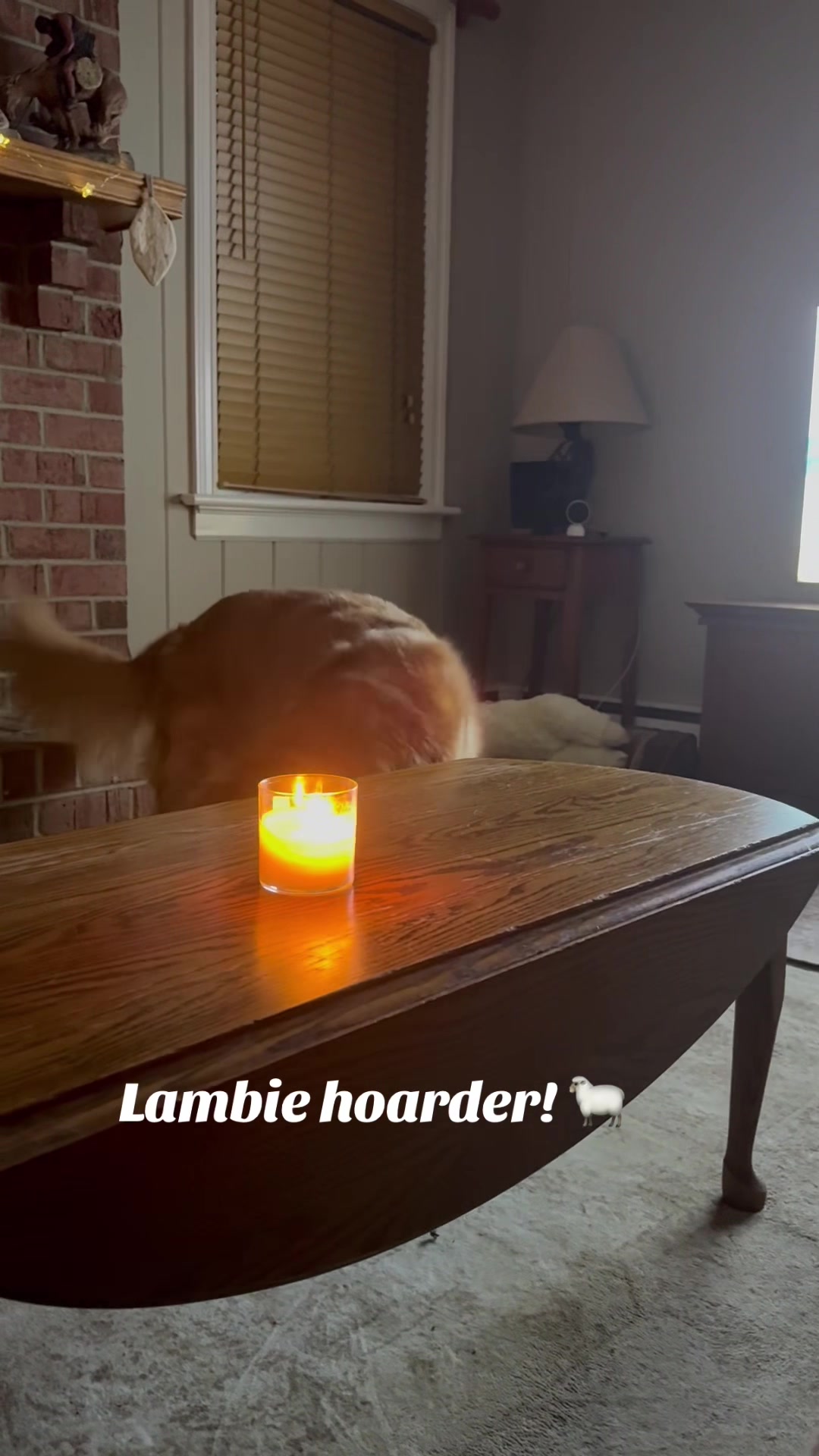 @lifewithduke2025