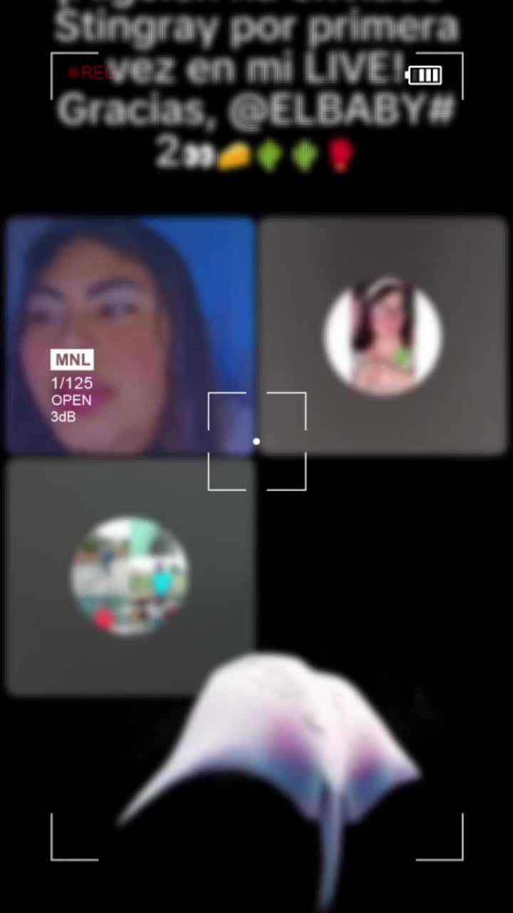 @ZV🐊32🕯🌵🪄🧑&zwj;💻🫡💵⚽️🎀🧑&zwj;🚀