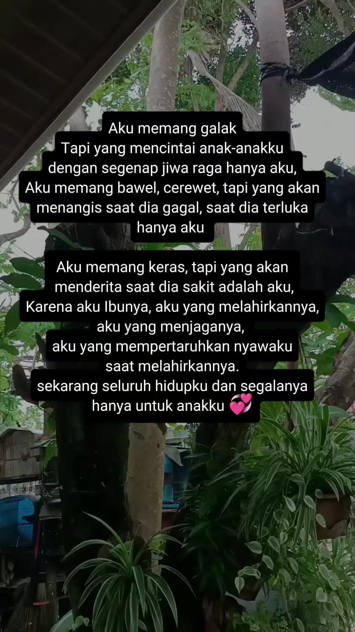 @🌷Arsya cute🌷