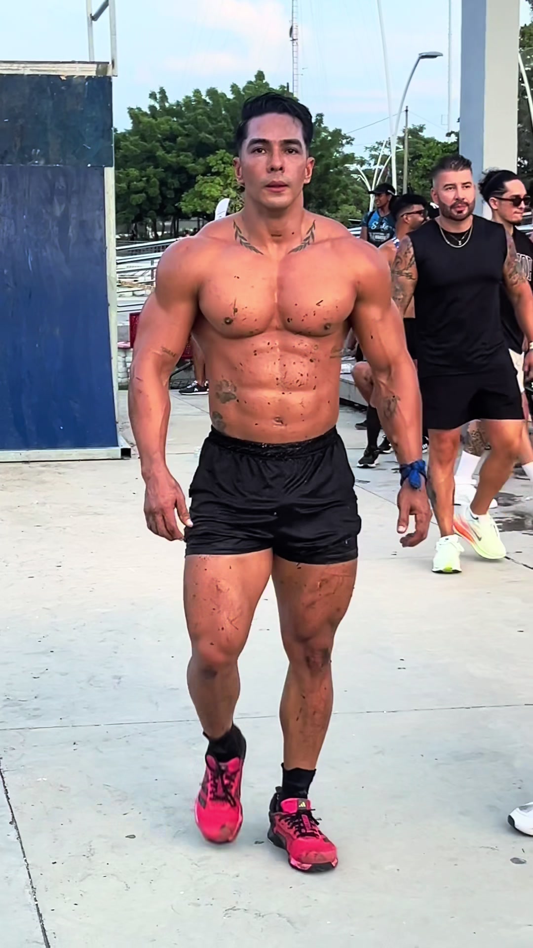 @Alvin Márquez Ortega 👑