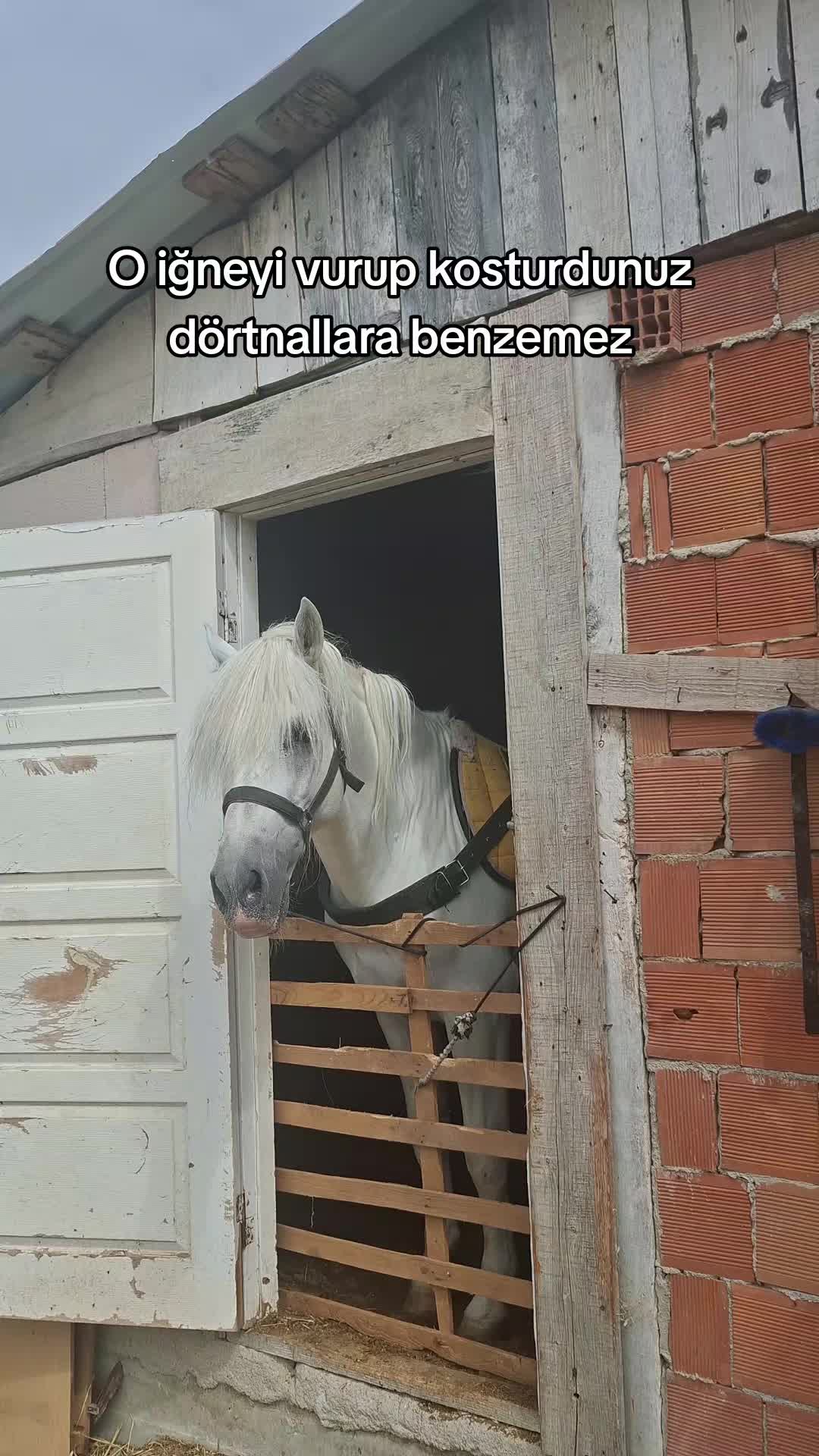 @Yusuf Ünal