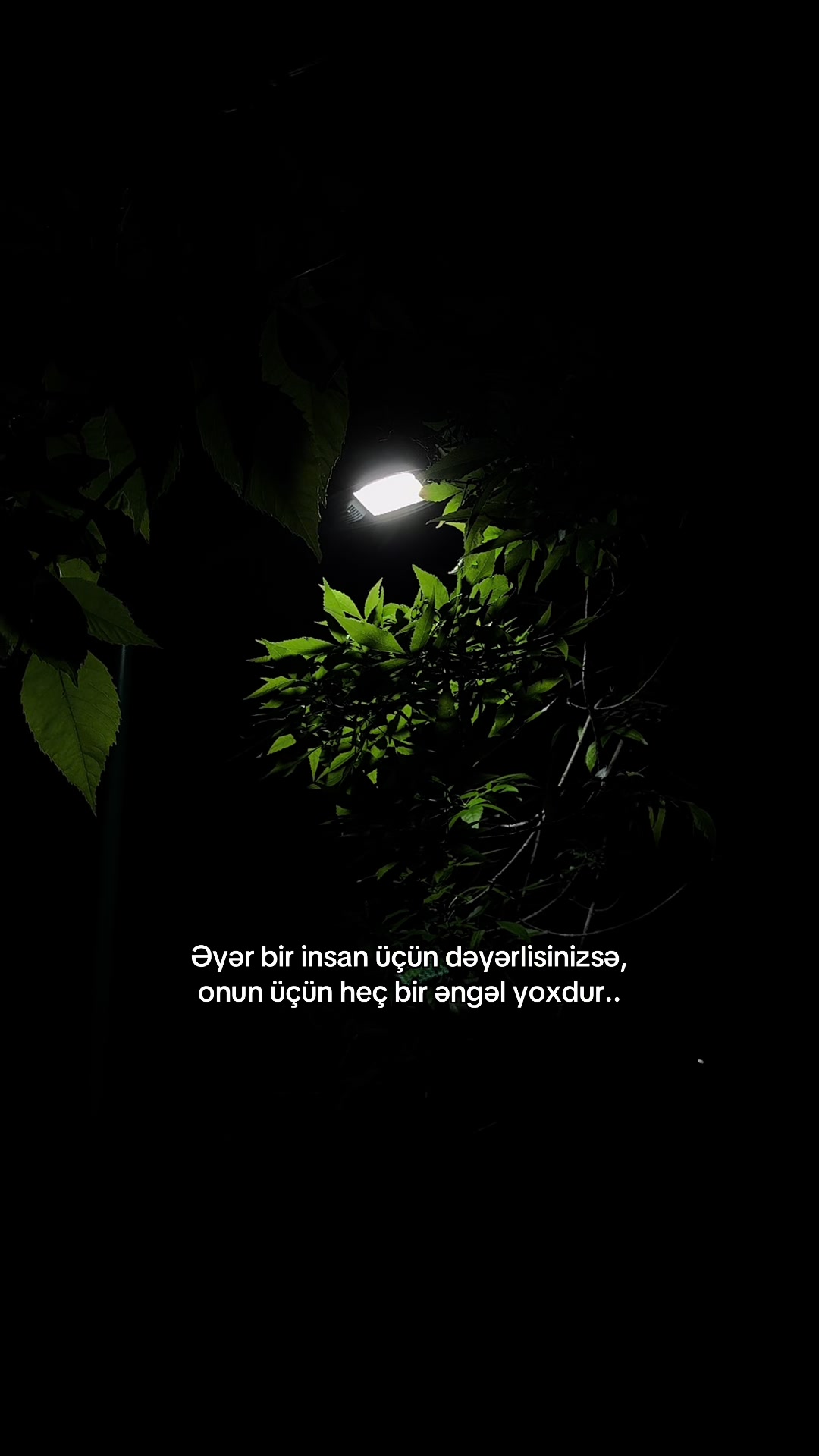@Mənali_Sözlər✍️