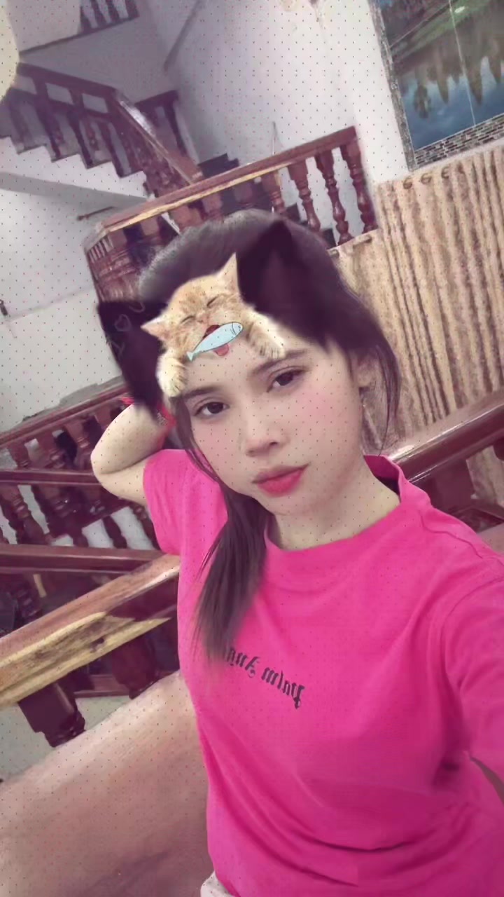 @(~•.•~)๐ง๐๐ฐ๐ญ๐จ๐ณ