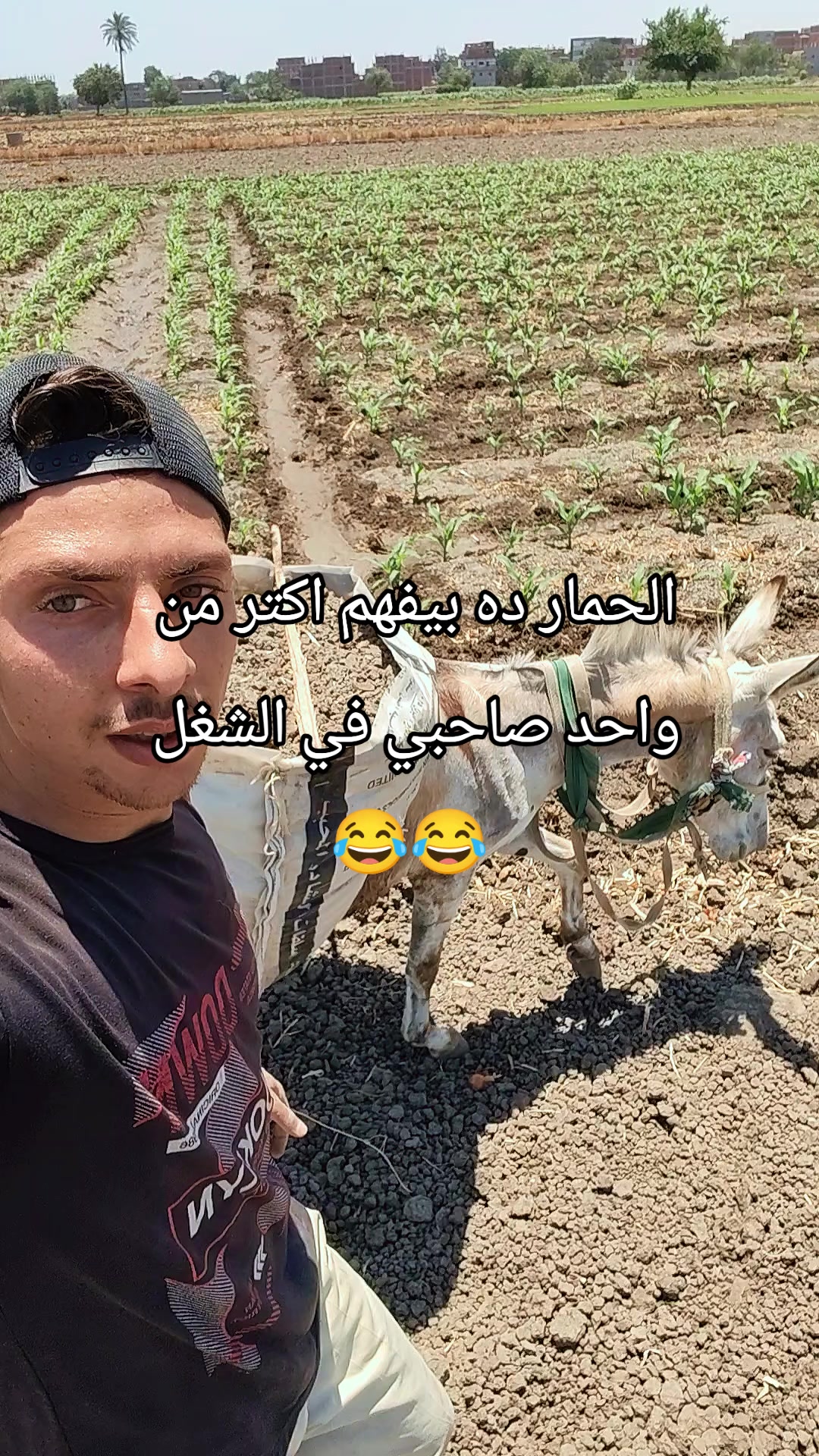 @الريف لايف Rif Life