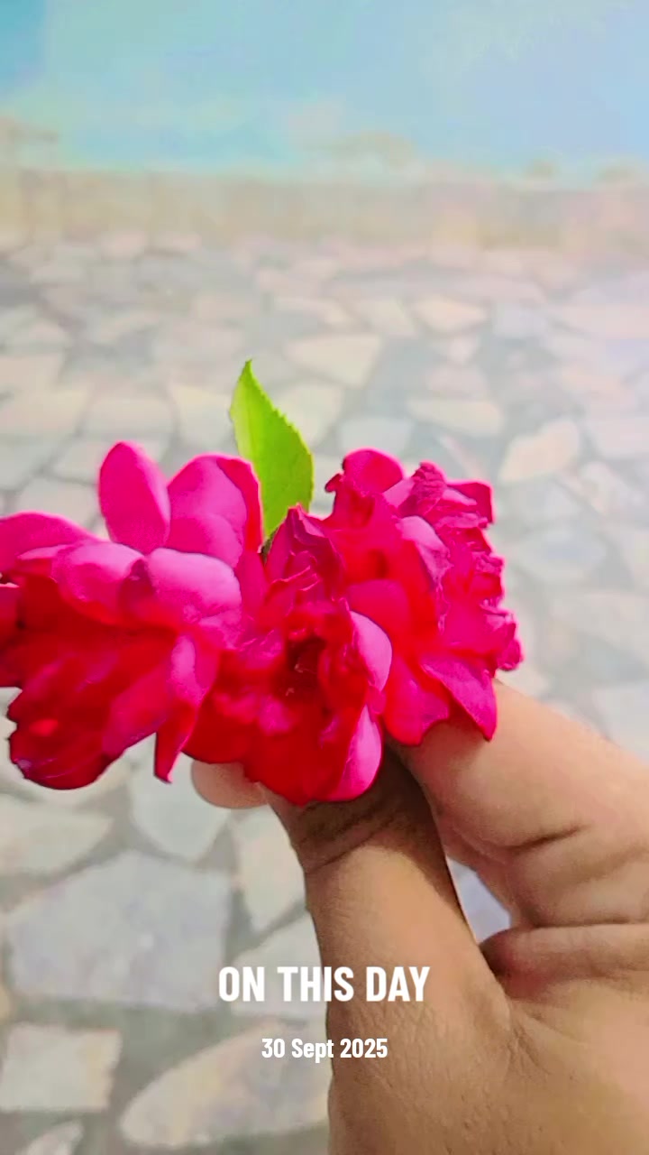@💕 Murtaza Awan❤️