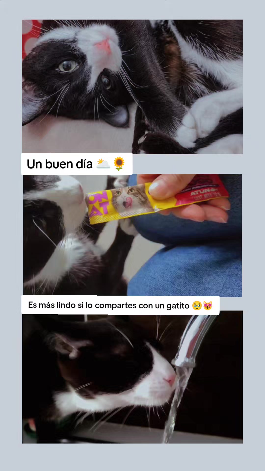 @Canela Arias