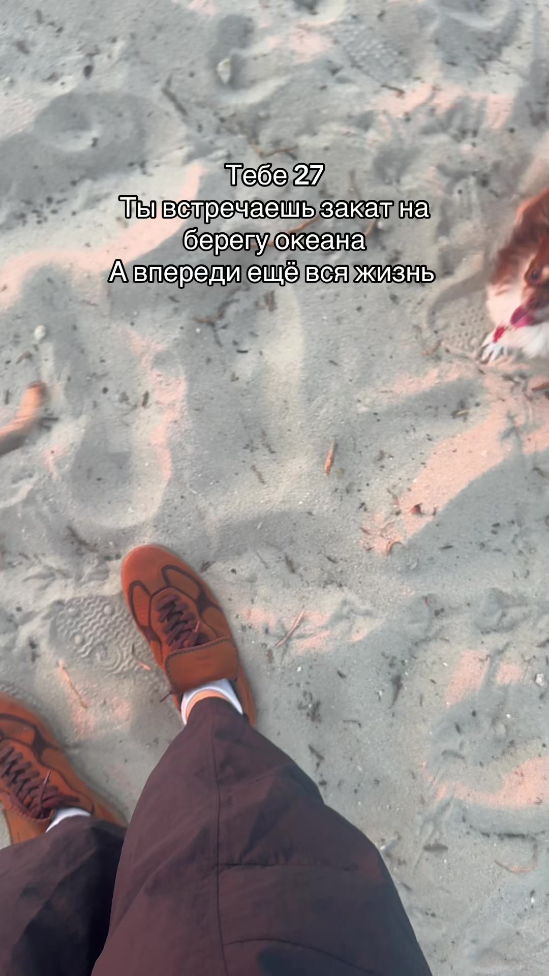@Алёнка