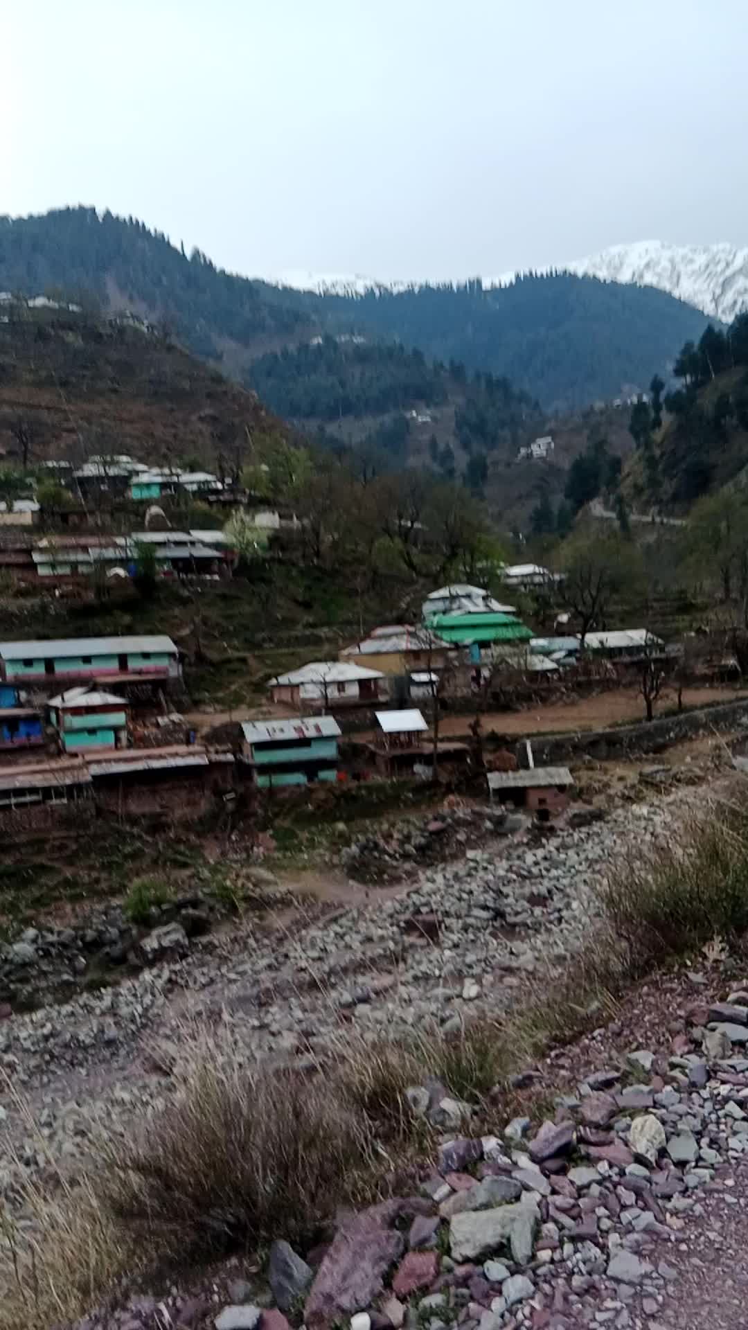 @Moon bhai