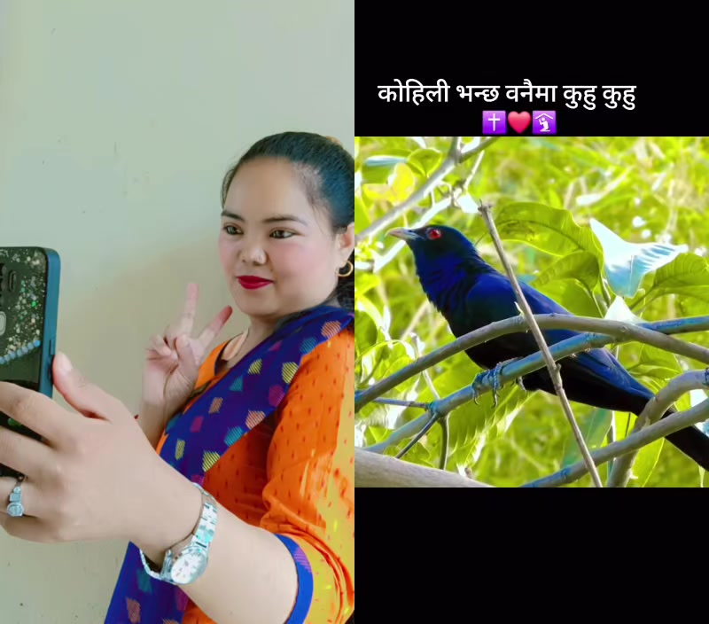 @@Desika💓tamang