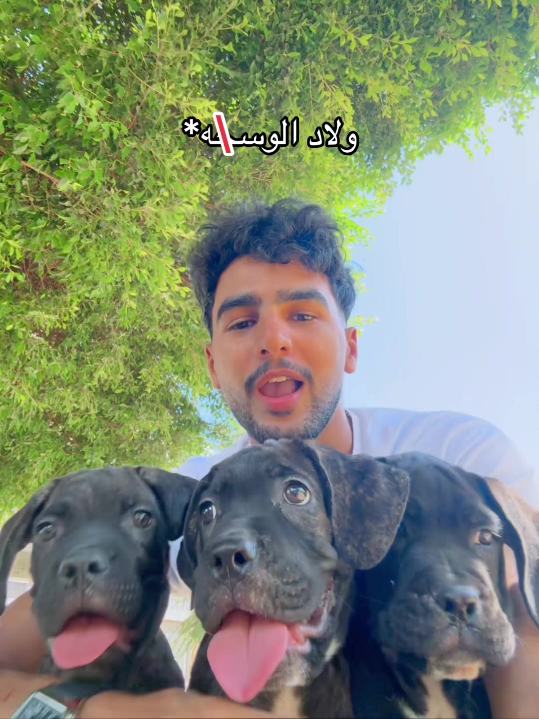@mido_awad1