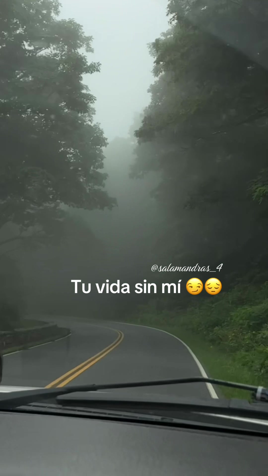 @La salamandra 🦎❤️🔥🤎