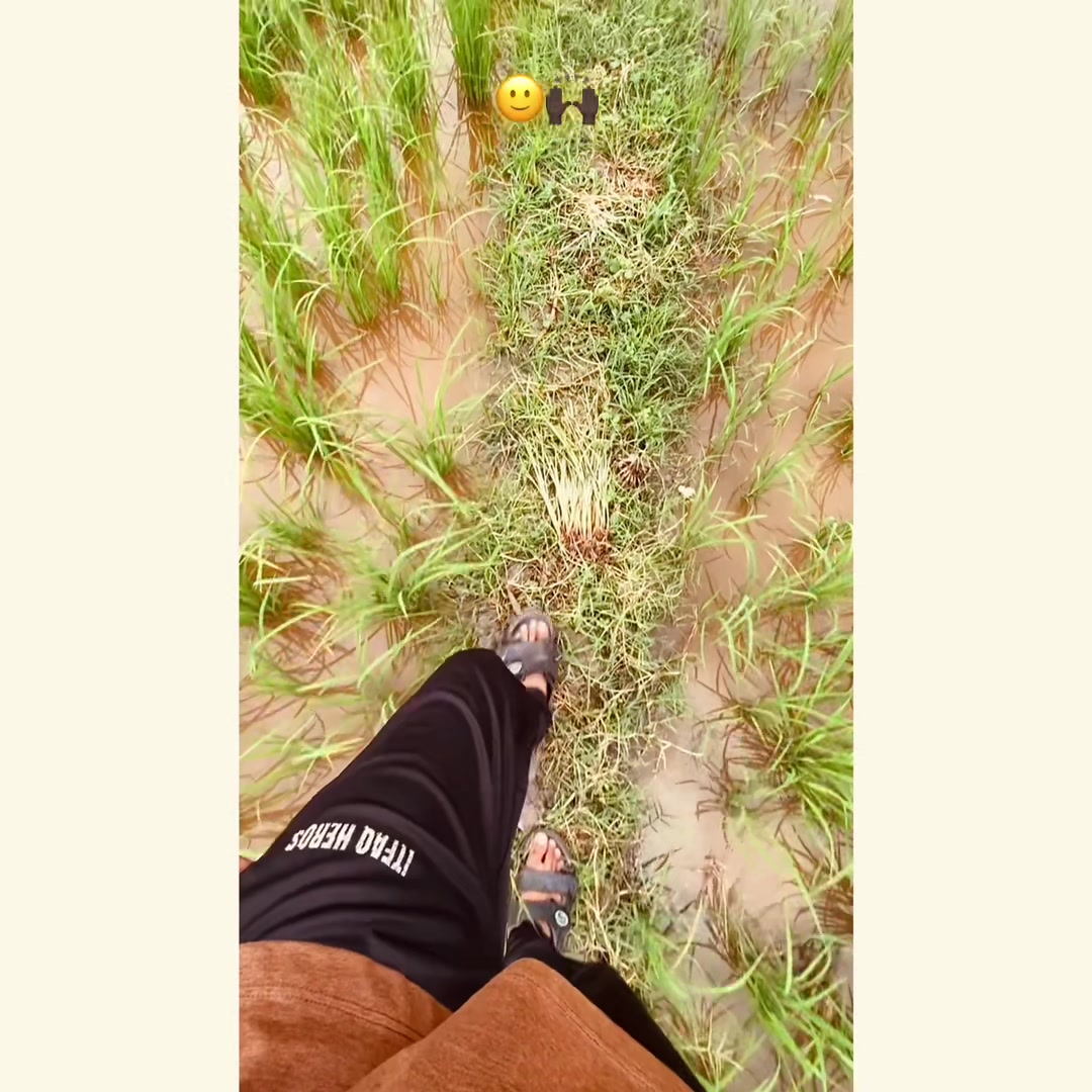 @𝐓𝐇𝐄𝐖 •̀ᴗ•́ 𓆩𝐍𝐎𝐌𝐈𓆪 🖤