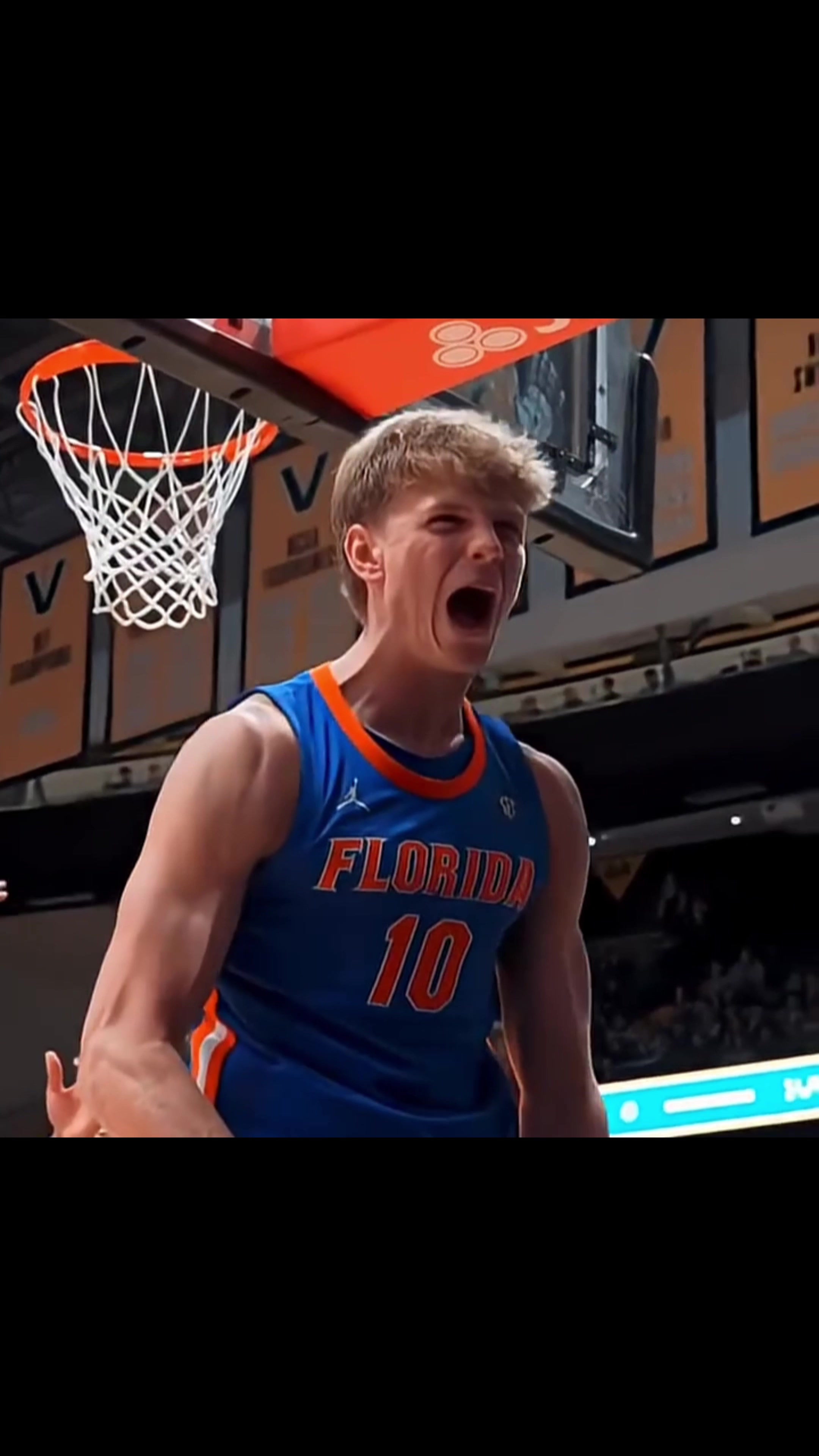 @Gator Clipz