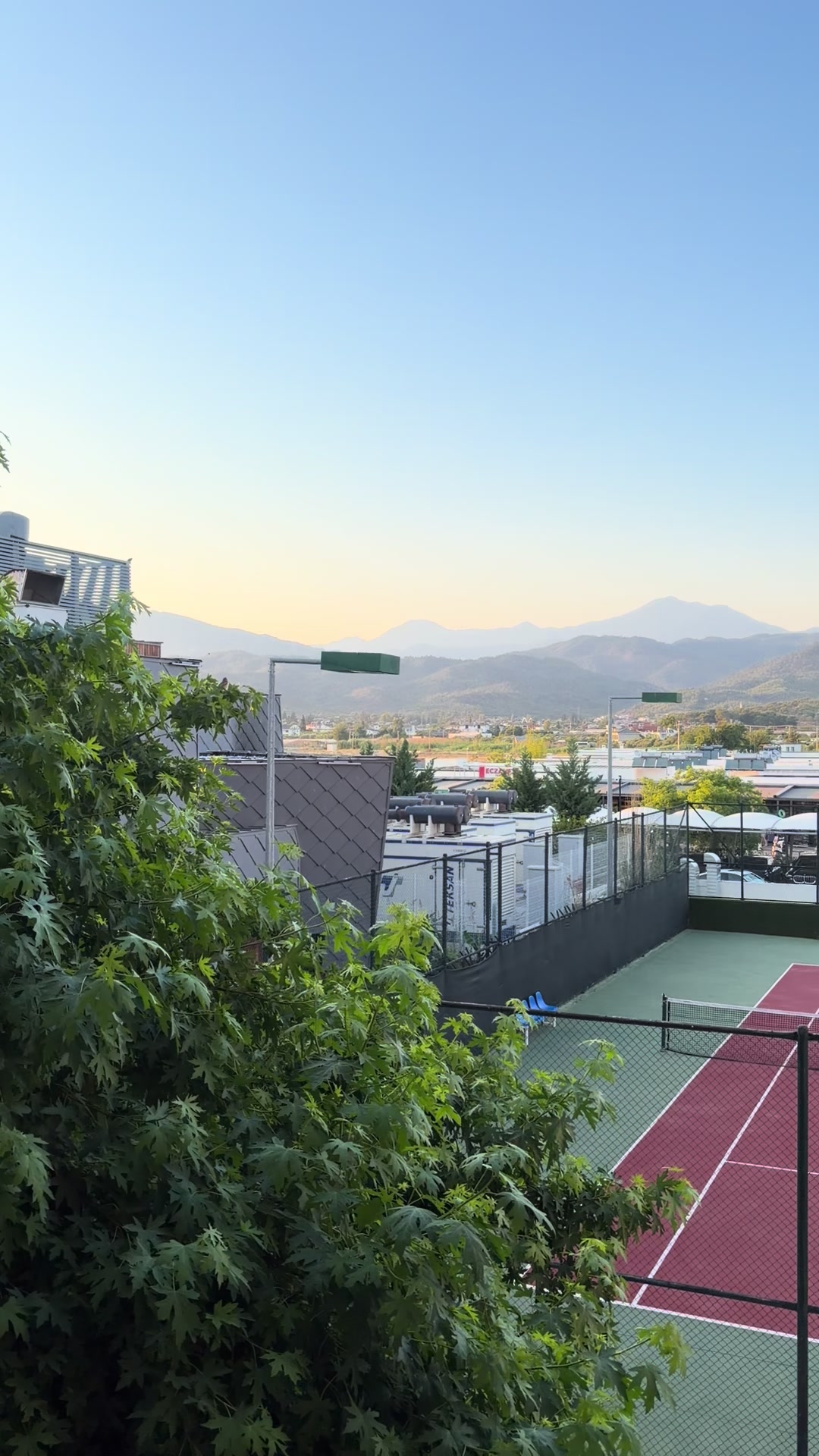 @dashikk