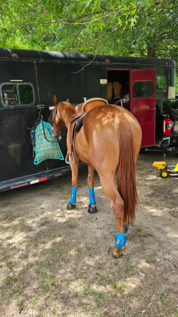 @southerncowgirl