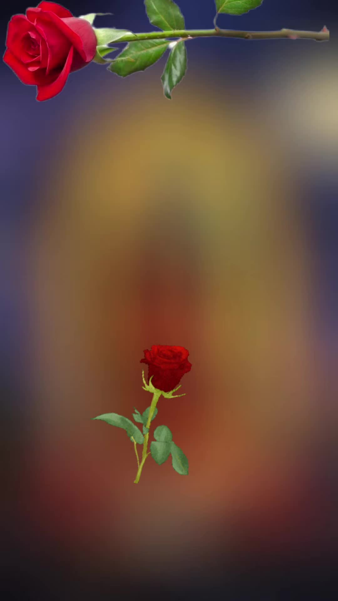 @viva la virgen de guadalupe 😍