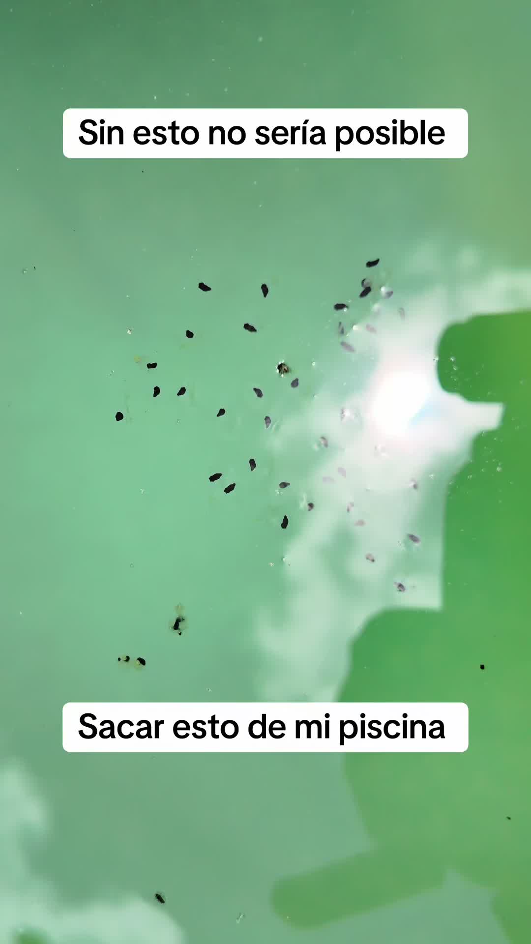 @yuyilachuli