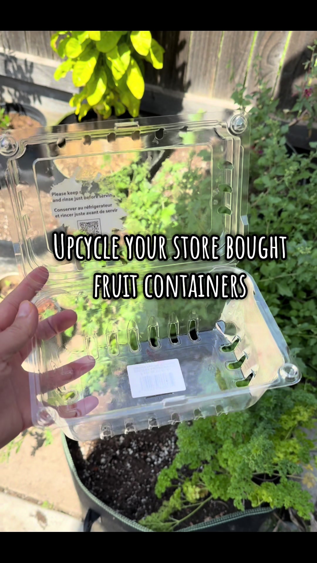 @plantingwithe