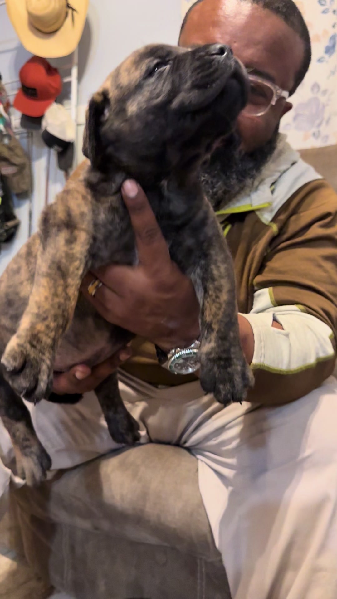 @kyboerboels