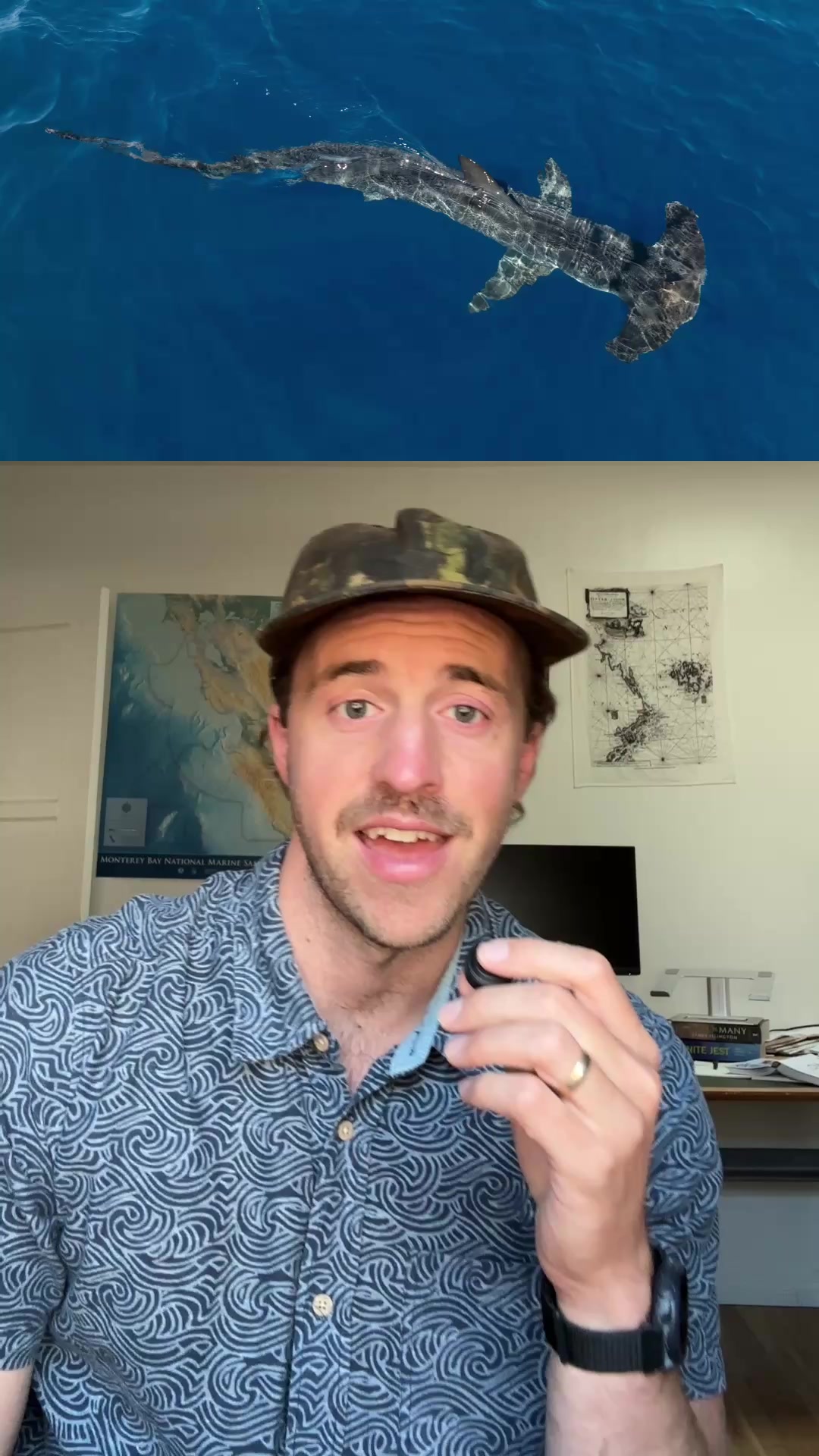@Nature is Surreal