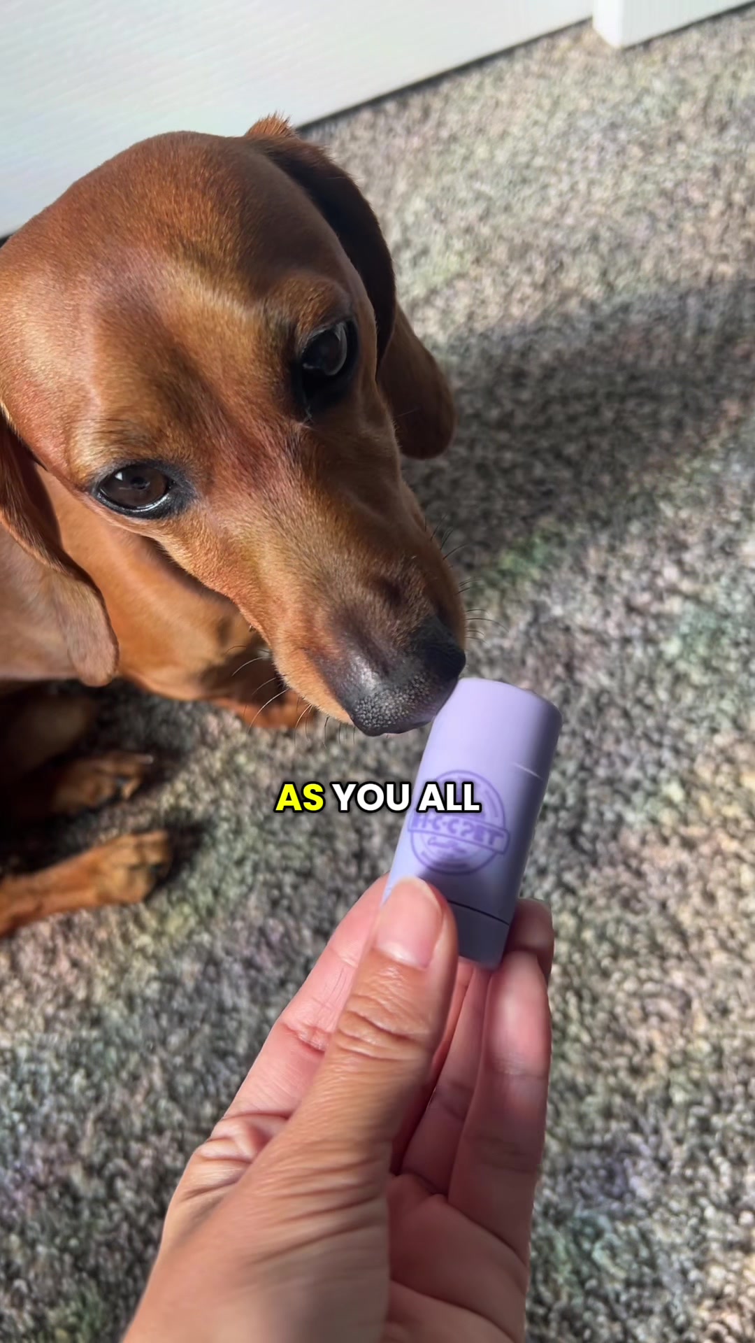 @Slinky Severus-Doo