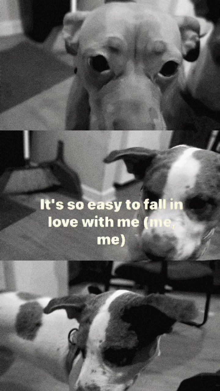 @Jennifer Elliott