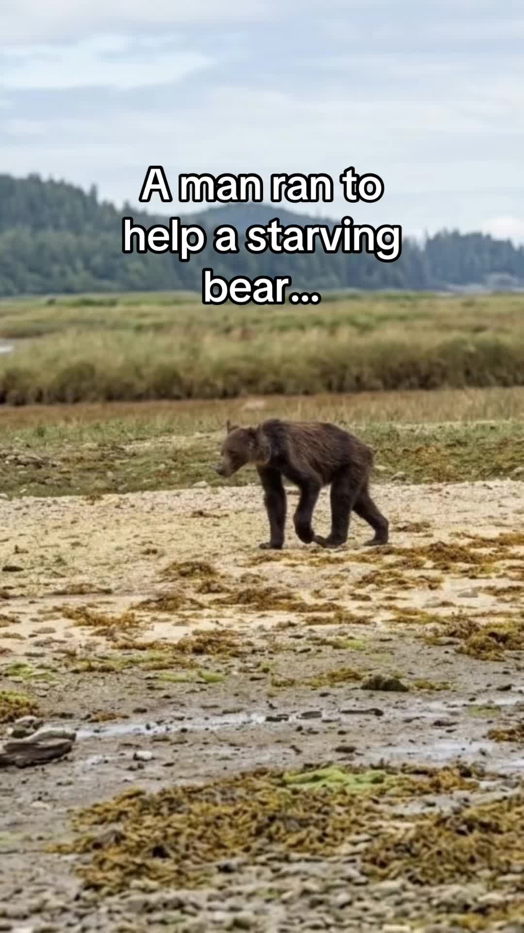 @StoriezTold 🐶