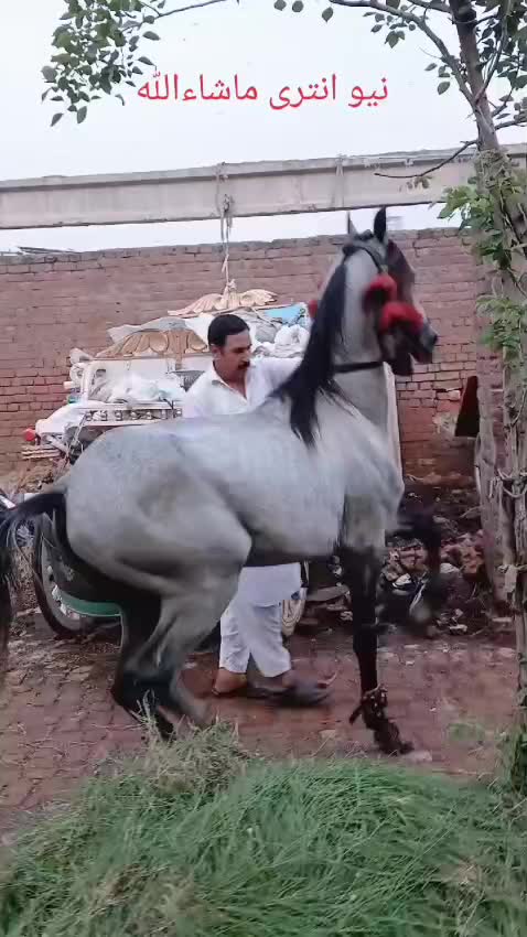 @ladlagujjar4973