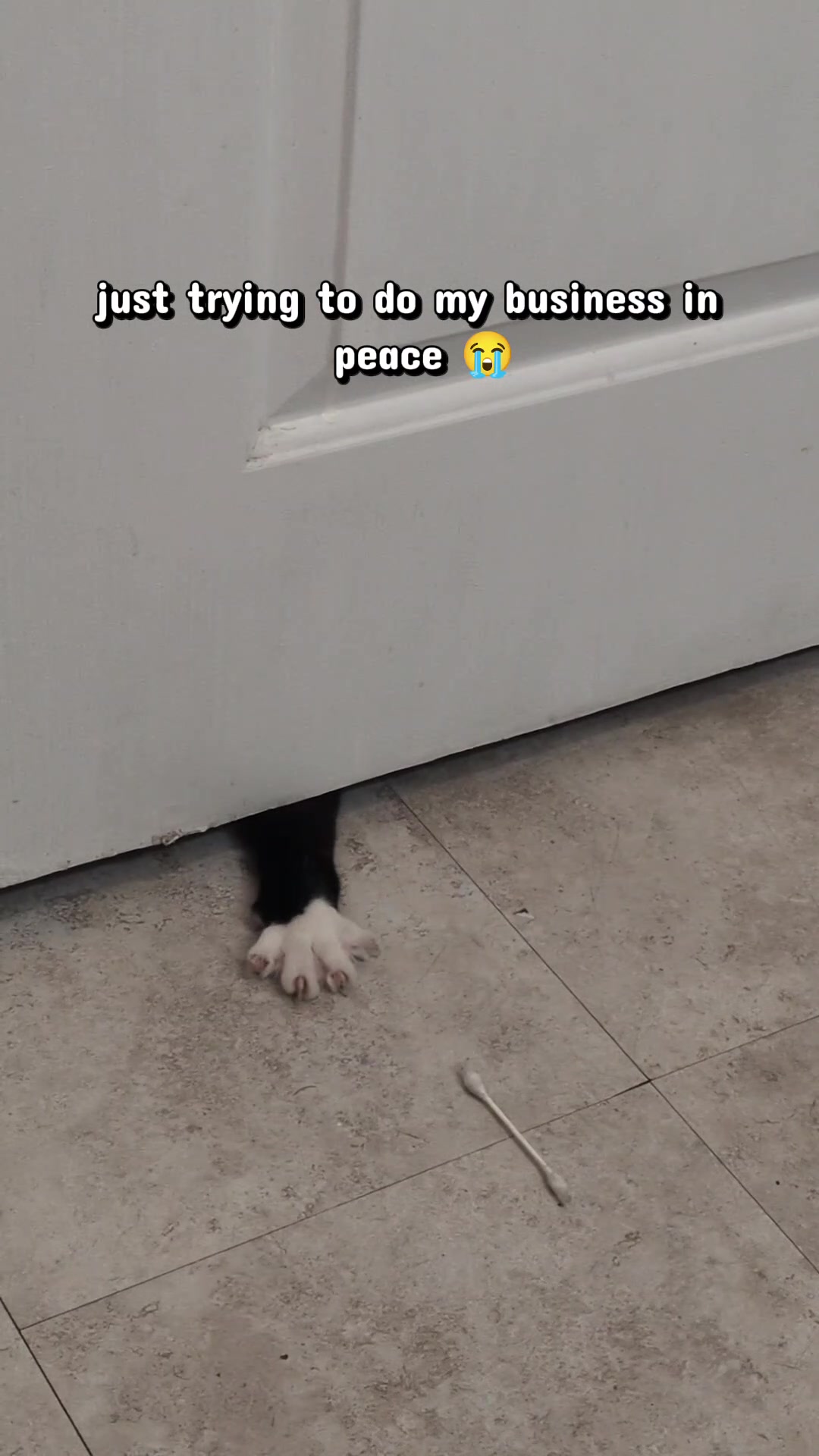 @FoxBox