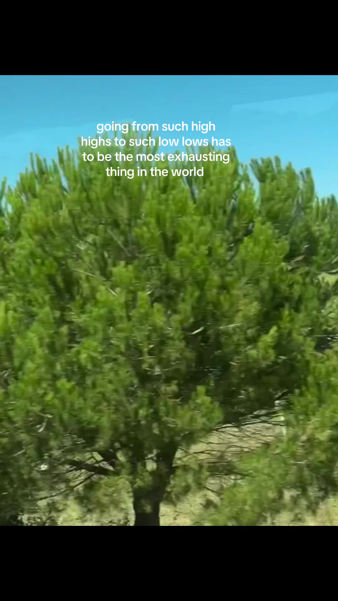 @🤍🤍🤍