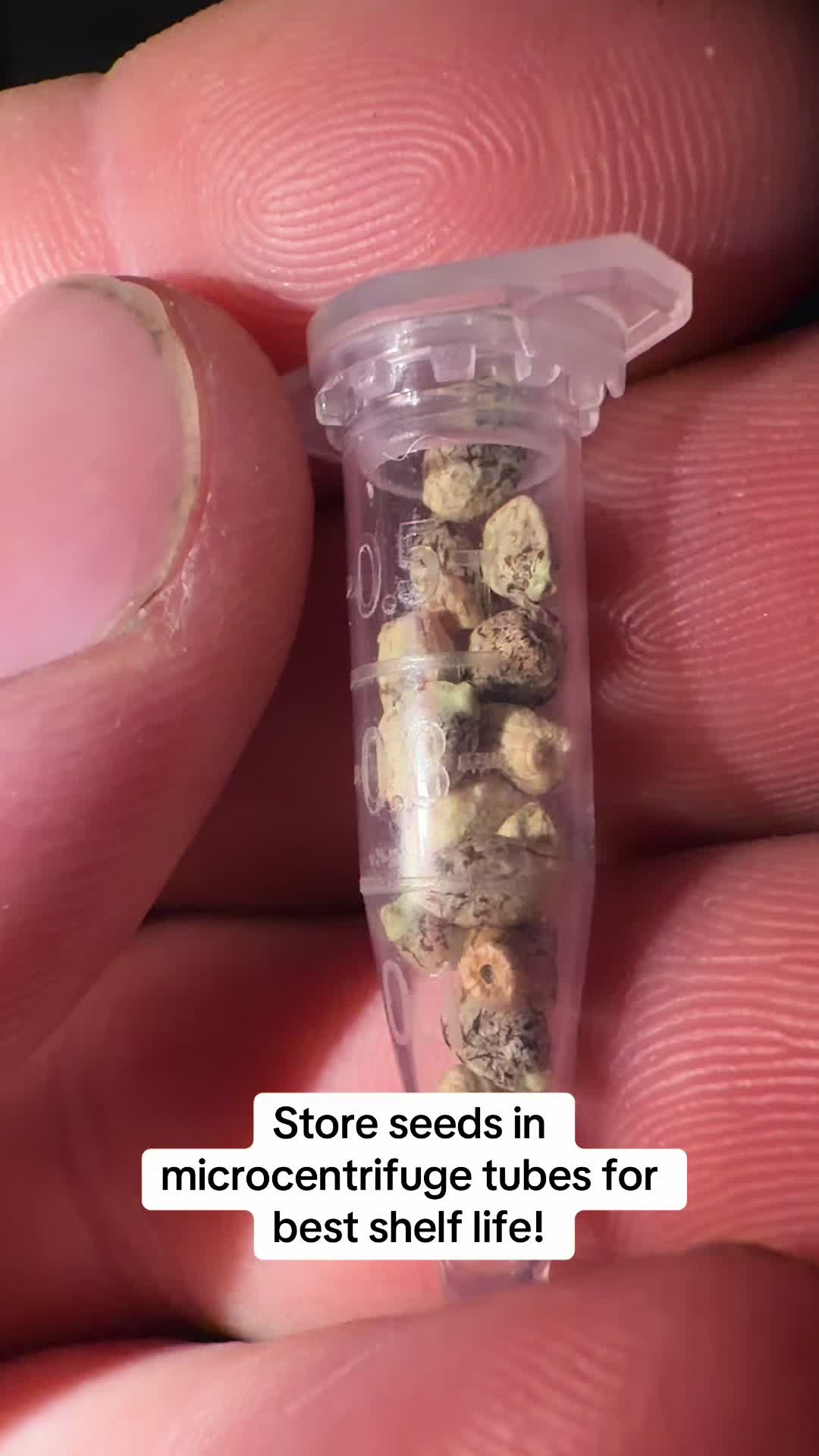 @SEEDTIVA