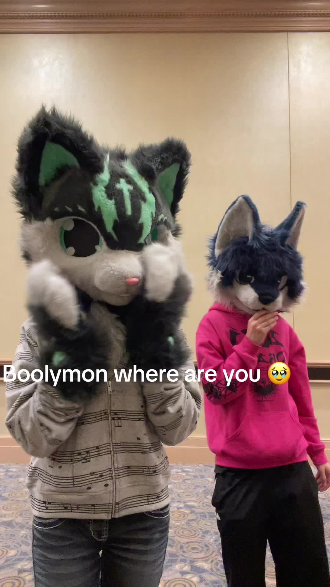 @derpykitten