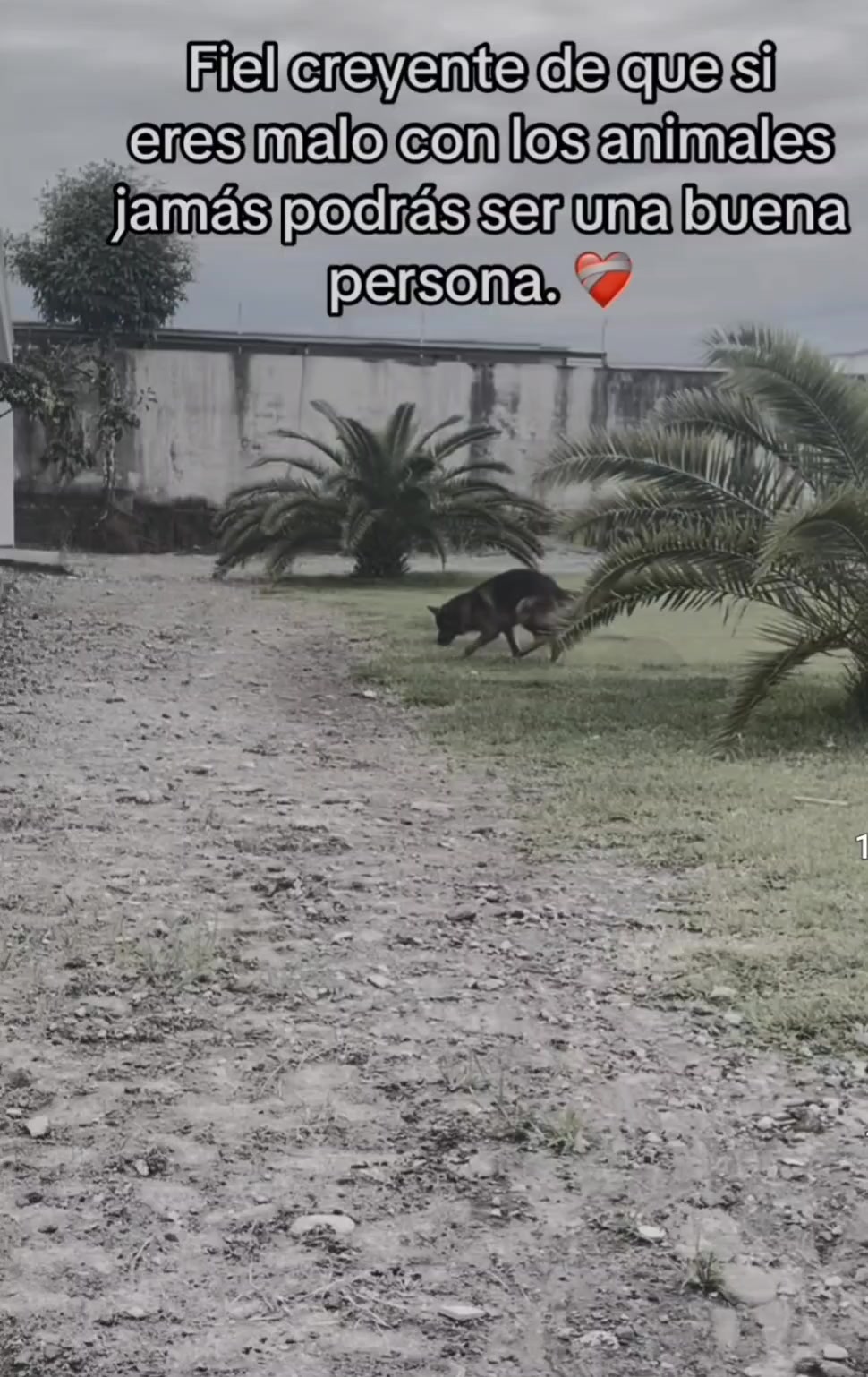@varcan❤️